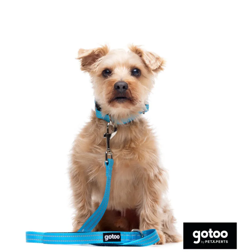 Gotoo Correa de nylon reflectante azul para perros