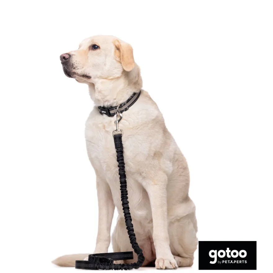 Gotoo Correa doble de nylon negra para perros