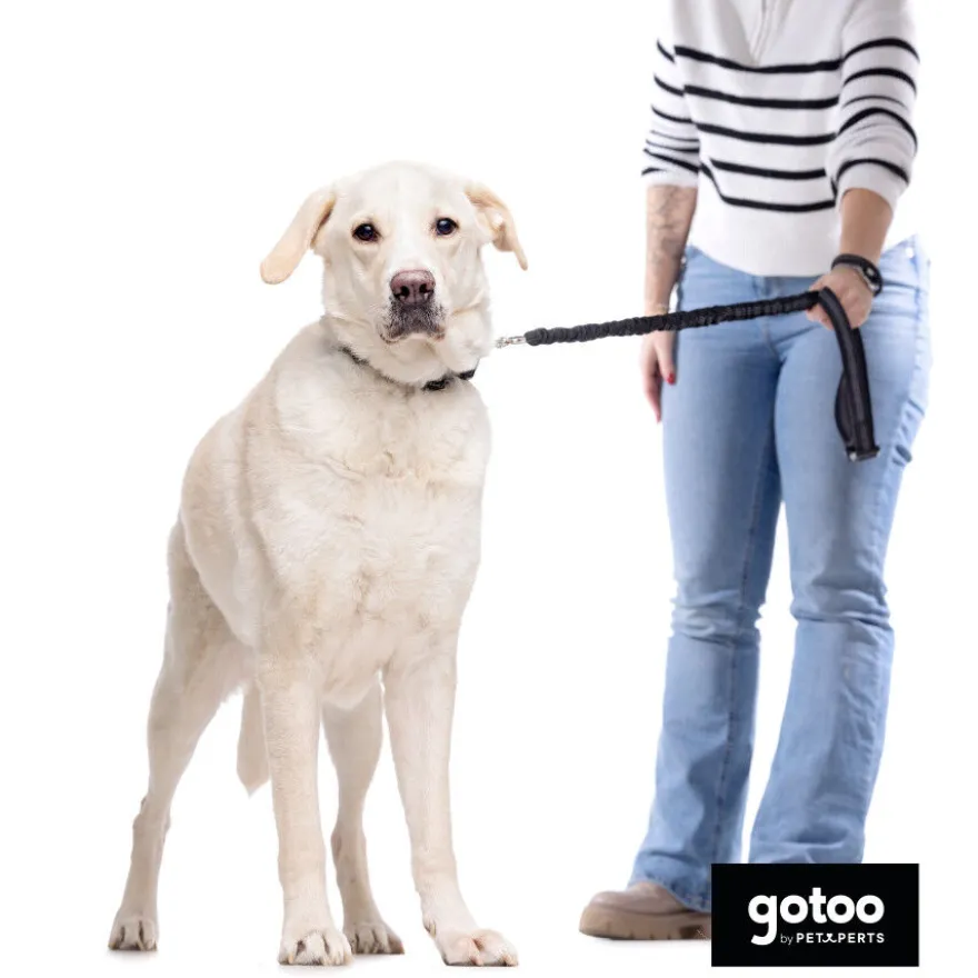 Gotoo Correa doble de nylon negra para perros