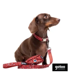 Gotoo Correa estampada cachemira rojo para perro