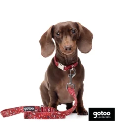 Gotoo Correa estampada cachemira rojo para perro