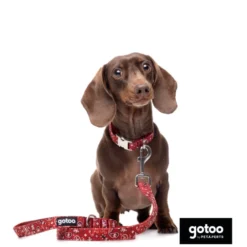 Gotoo Correa estampada cachemira rojo para perro