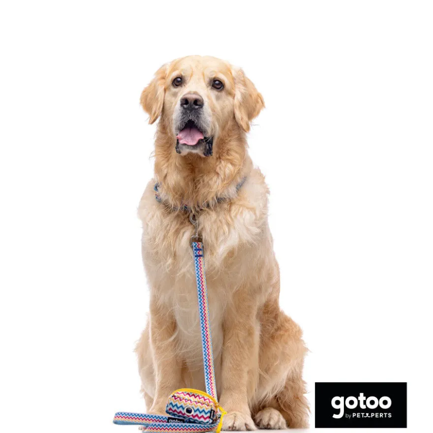Gotoo Correa estampada rayas zig-zag para perros