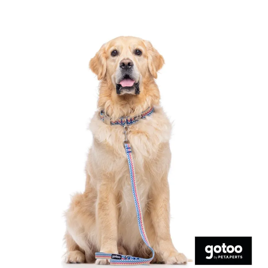 Gotoo Correa estampada rayas zig-zag para perros