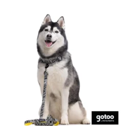 Gotoo Correa estampada zebra para perros