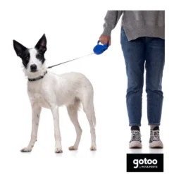 Gotoo Correa extensible azul para perros
