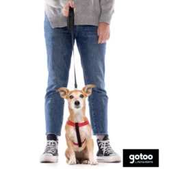 Gotoo Correa extensible negra para perros