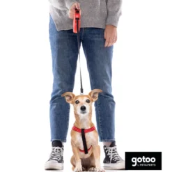 Gotoo Correa extensible roja para perros