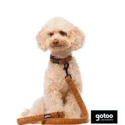 Gotoo Correa teddy marrón para perros