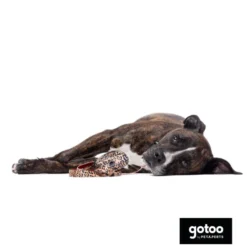 Gotoo Porta bolsas estampado leopardo marrón para perros