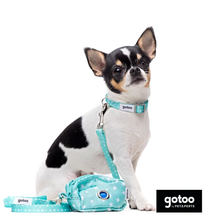 Gotoo Set Correa y Collar estampado con estrellas verde para perros