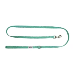 Gotoo Set Correa y Collar estampado con estrellas verde para perros