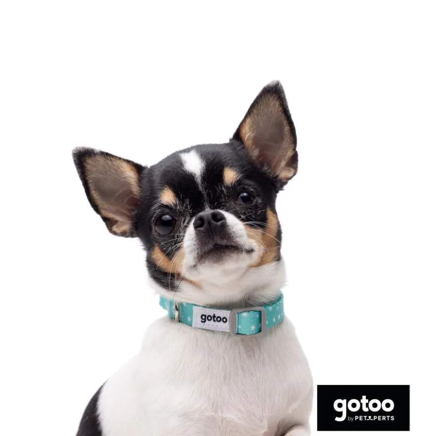 Gotoo Set Correa y Collar estampado con estrellas verde para perros