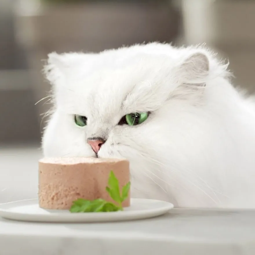 Gourmet Gold Mousse de Buey lata para gatos