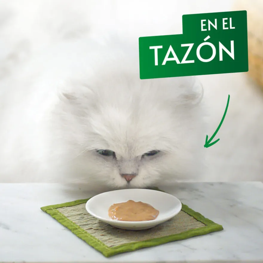 Gourmet Nature’s Creations Snack Húmedo de Pollo para gatos