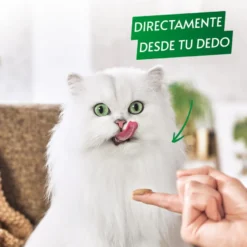 Gourmet Nature’s Creations Snack Húmedo de Pollo para gatos