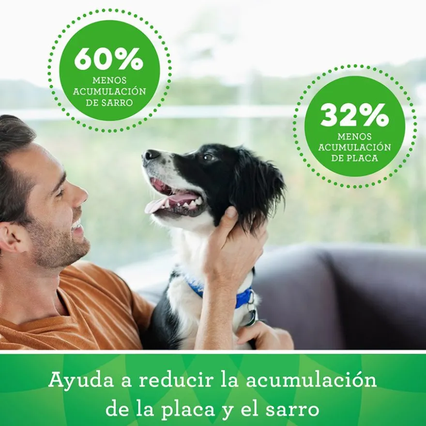 Greenies Medium Snacks Dentales Naturales para perros medianos