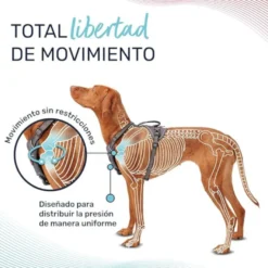 Halti arnés anatómico con asa verde para perros