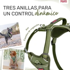 Halti arnés anatómico con asa verde para perros
