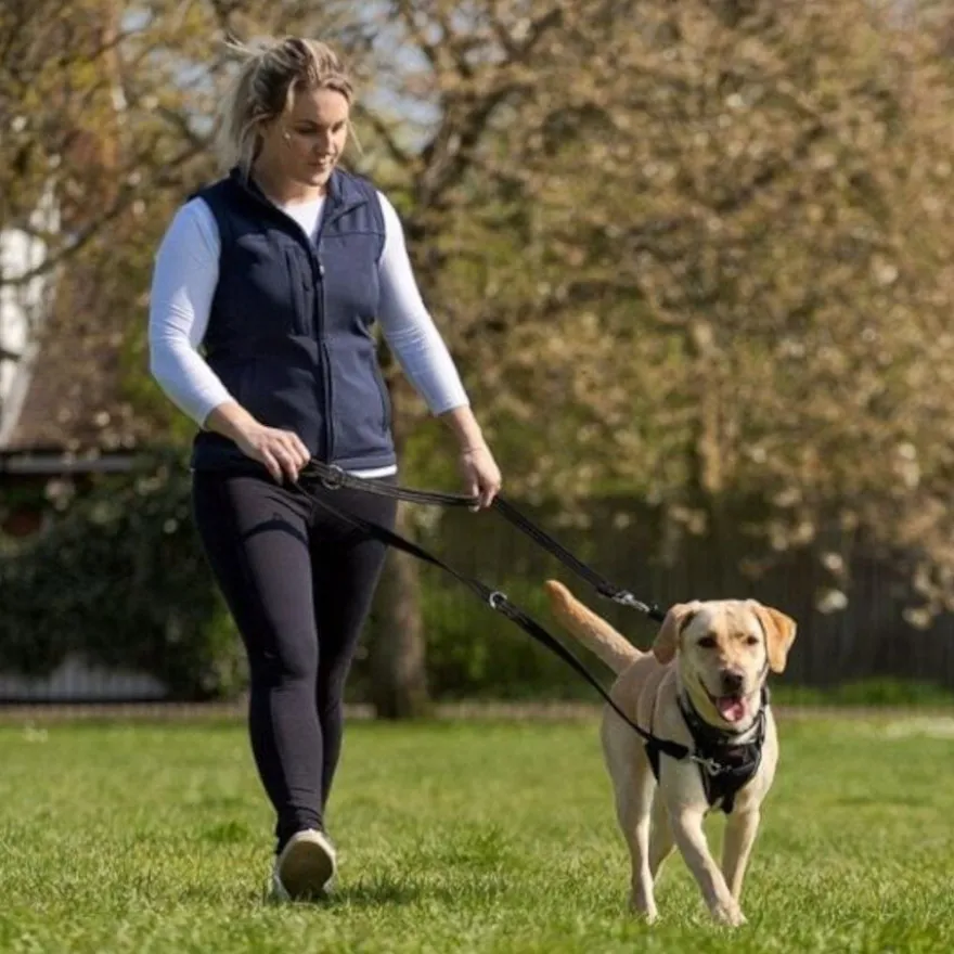 Halti Arnés antitirones negro para perros