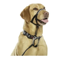 Halti collar con bozal de tela negro para perros