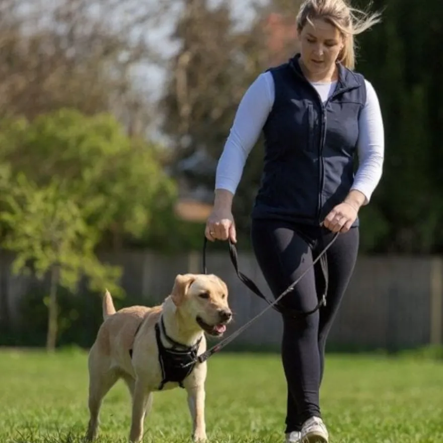 Halti correa de adiestramiento negra para perros medianos y pequeños