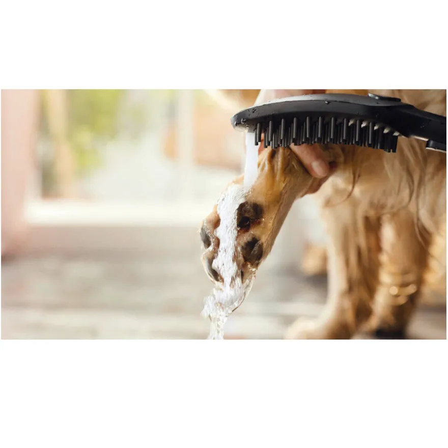 Hansgrohe Alcachofa de Ducha Negra para perros