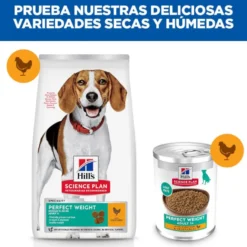 Hill's Adult Perfect Weight Pollo y Vegetales lata para perros
