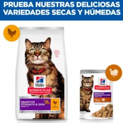 Hill's Adult Science Plan Sensitive Stomach Pollo pienso para gatos