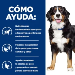 Hill's Prescription Diet Canine j/d Metabolic + Mobility lata para perros
