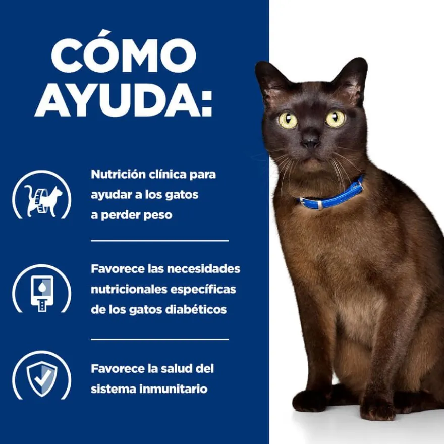 Hill's Prescription Diet Diabetes care Pollo pienso para gatos