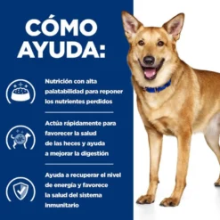 Hill's Prescription Diet Digestive Care i/d Pollo pienso para perros