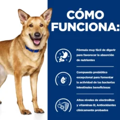 Hill's Prescription Diet Digestive Care i/d Perros Pavo lata