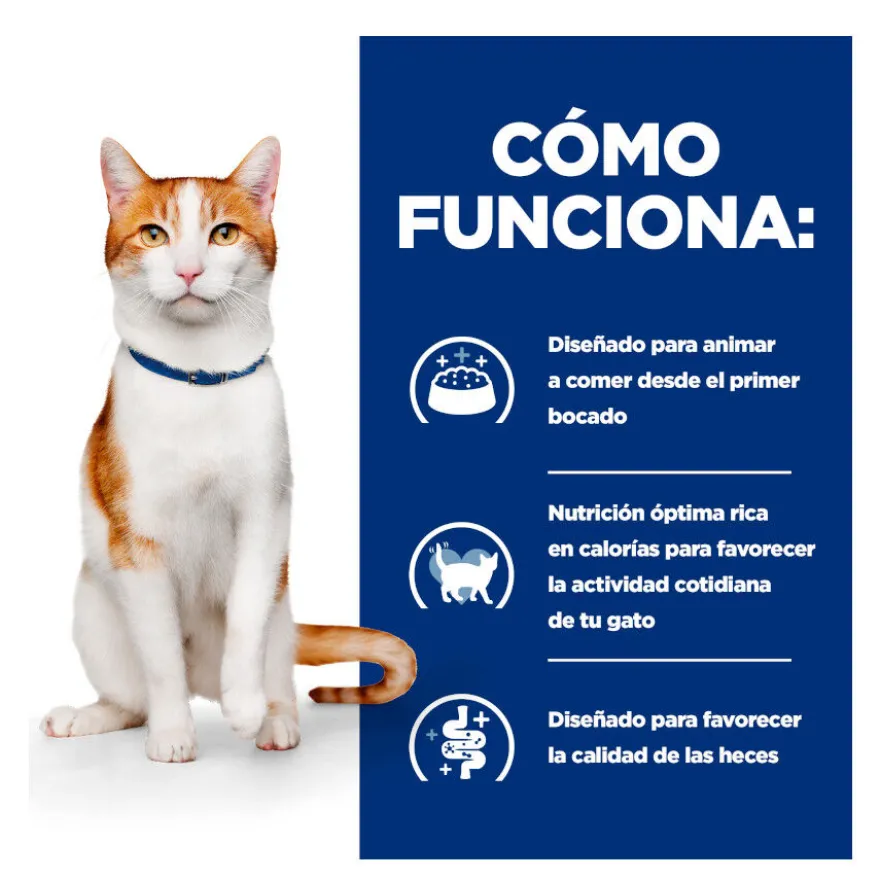 Hill's Prescription Diet Feline Estofado con Pollo y Verduras para Gatos Adultos