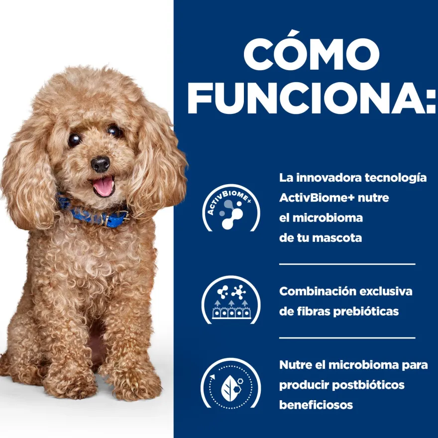 Hill's Prescription Diet Gastrointestinal Biome Mini pienso para perros