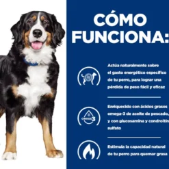 Hill's Prescription Diet j/d Metabolic + Mobility pienso para perros