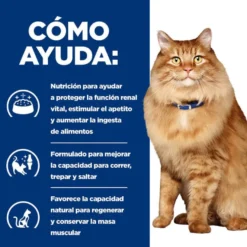 Hill's Prescription Diet k/d + Mobility j/d Pollo sobre para gatos