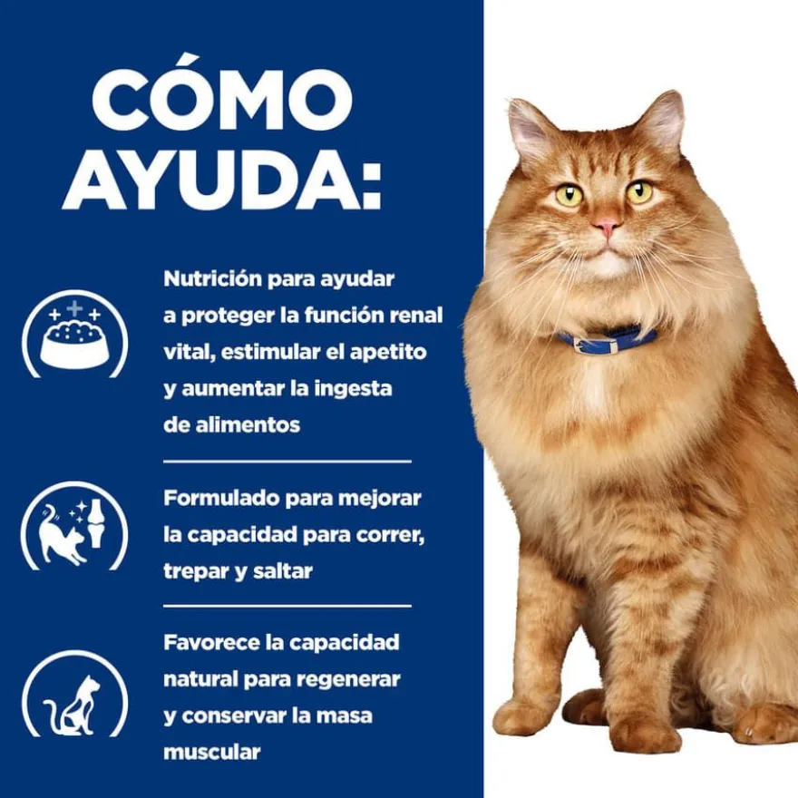 Hill's Prescription Diet k/d + Mobility j/d Pollo sobre para gatos