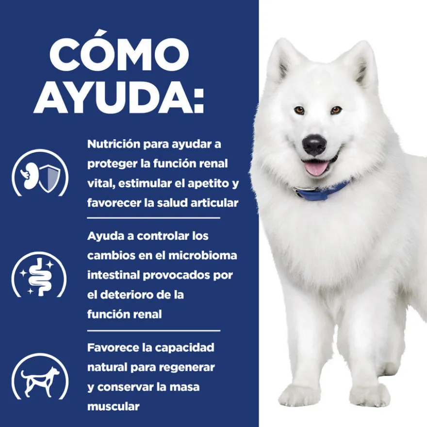 Hill's Prescription Diet kidney + Mobility pienso para perros