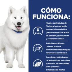 Hill's Prescription Diet kidney + Mobility pienso para perros