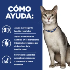 Hill's Prescription Diet Kidney Care k/d Pollo pienso para gatos