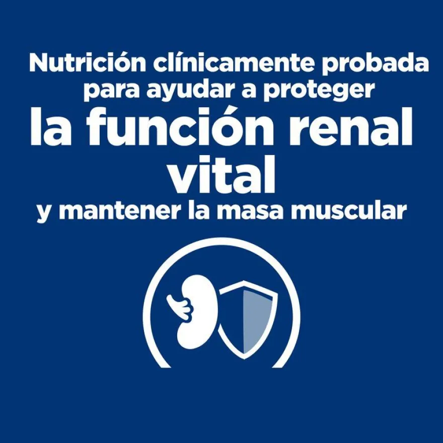Hill's Prescription Diet kidney Care k/d Salmón pienso para gatos