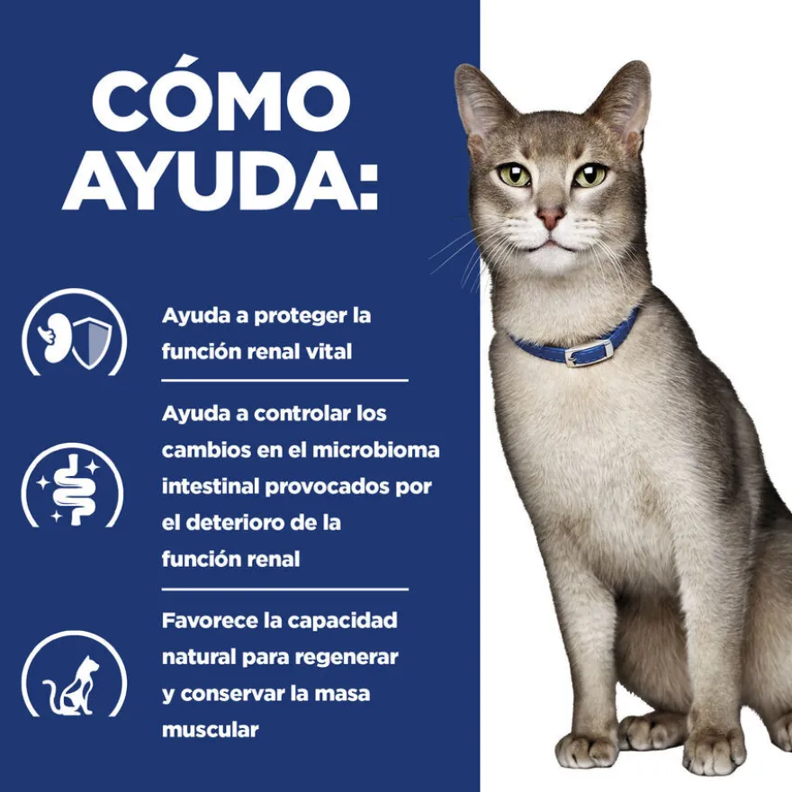 Hill's Prescription Diet kidney Care k/d Salmón pienso para gatos