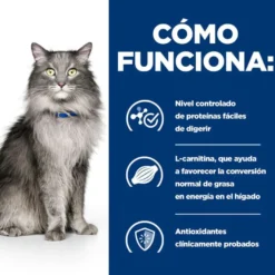 Hill's Prescription Diet Liver Care l/d Pollo pienso para gatos