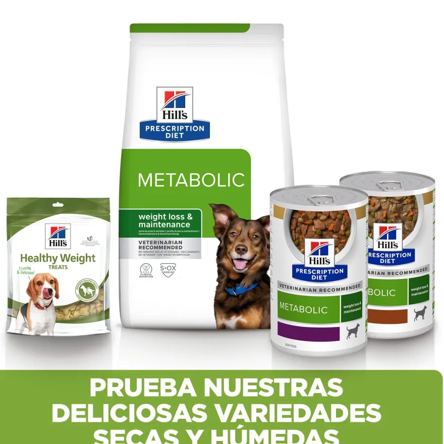 Hill's Prescription Diet Metabolic Pollo lata para perros