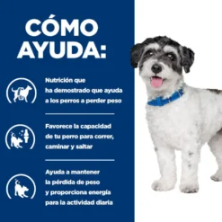 Hill's Prescription Diet Metabolic + Mobility Mini j/d pienso para perros