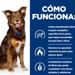 Hill's Prescription Diet Metabolic cordero y arroz pienso para perros