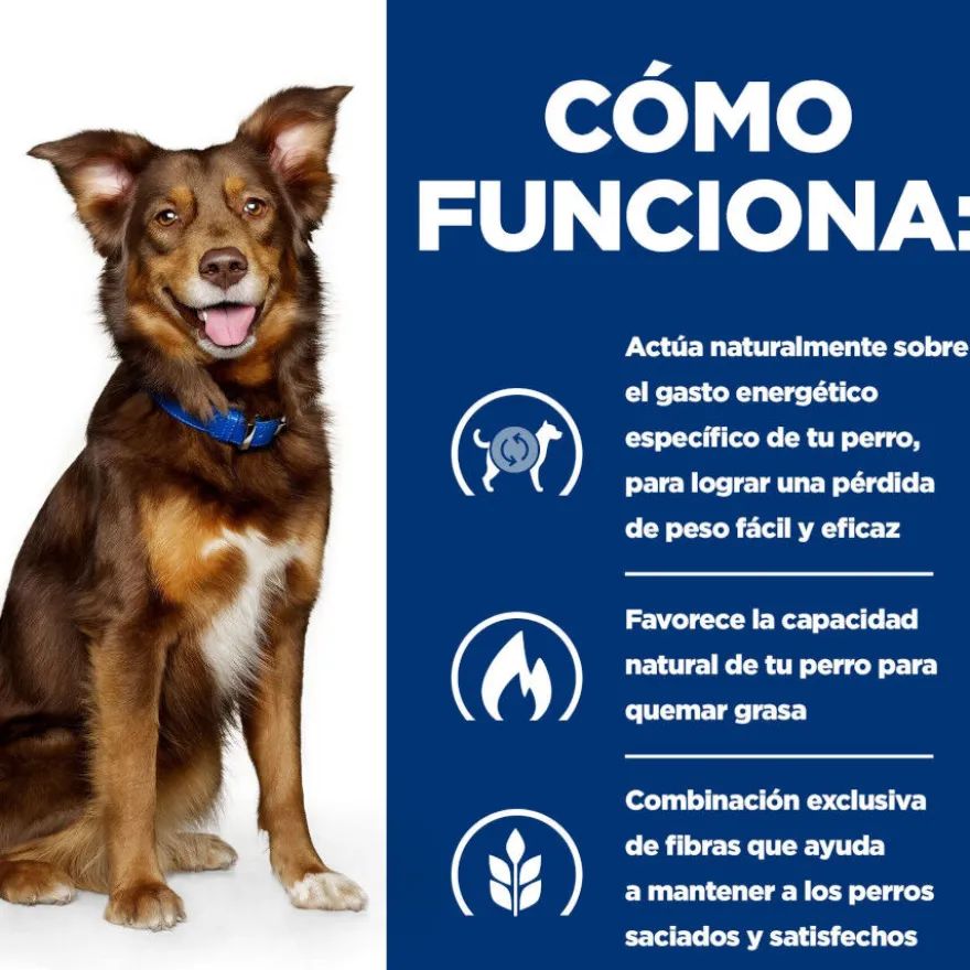 Hill's Prescription Diet Metabolic cordero y arroz pienso para perros