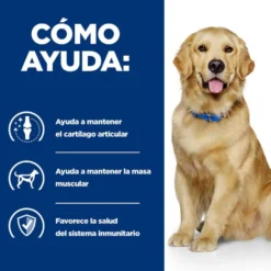 Hill's Prescription Diet Mobility Pollo pienso para perros