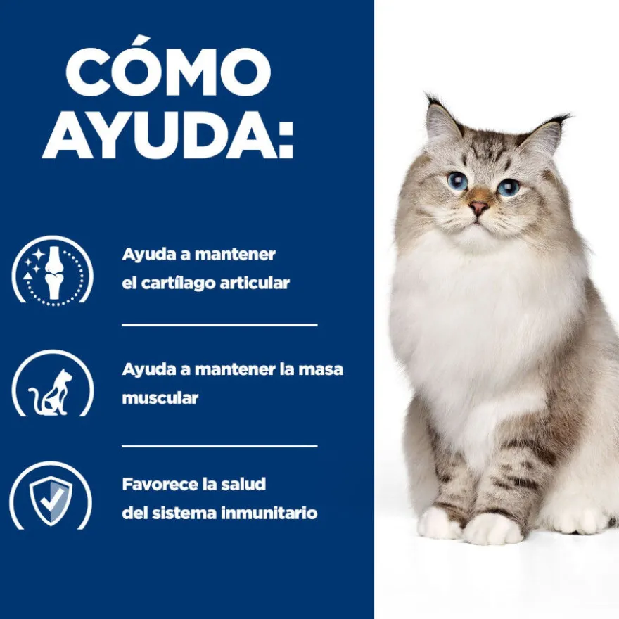Hill's Prescription Diet Mobility j/d pienso para gatos
